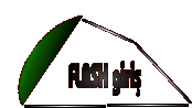 flash1.gif (3443 bytes)